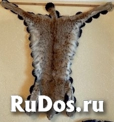 , частное объявление изображение 5