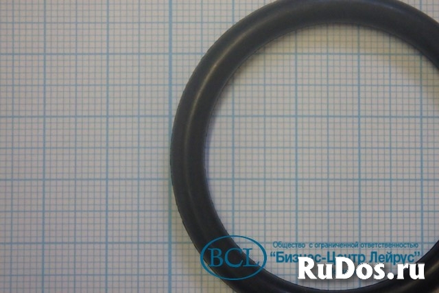 Кольцо O-Ring 42.0-5.30 nbr din3771 42х5.3 42*5.3 42-5.3mm фото