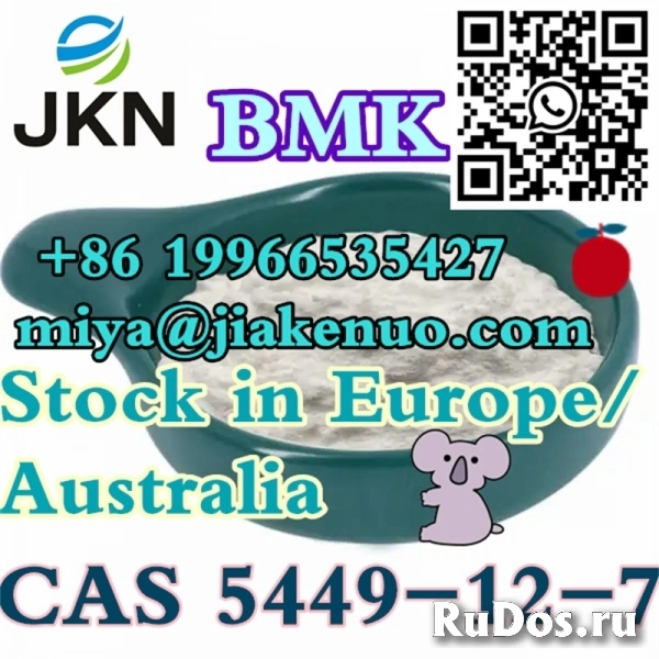 CAS 5449-12-7 Новая глицидовая кислота BMK (натриевая соль) изображение 4