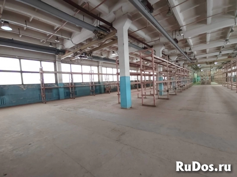 Сдам коммерческую недвижимость 150 м2 изображение 4