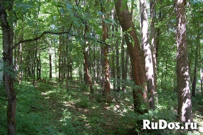 Продам участок 1069.1 сот. изображение 6