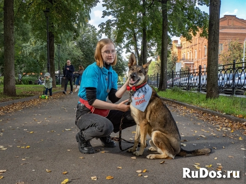 Звезда в добоые руки! фото