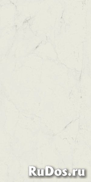 Керамогранит Grande Marble Look Altissimo Stuoiato Lux 160х320 (M37E) фото