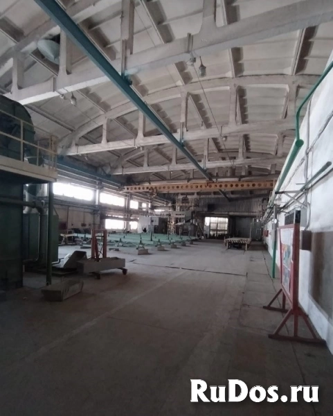 Сдам коммерческую недвижимость 1348 м2 изображение 6