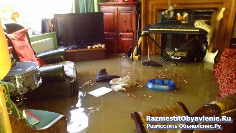 Просушка квартиры после затопления (залива, потопа фото