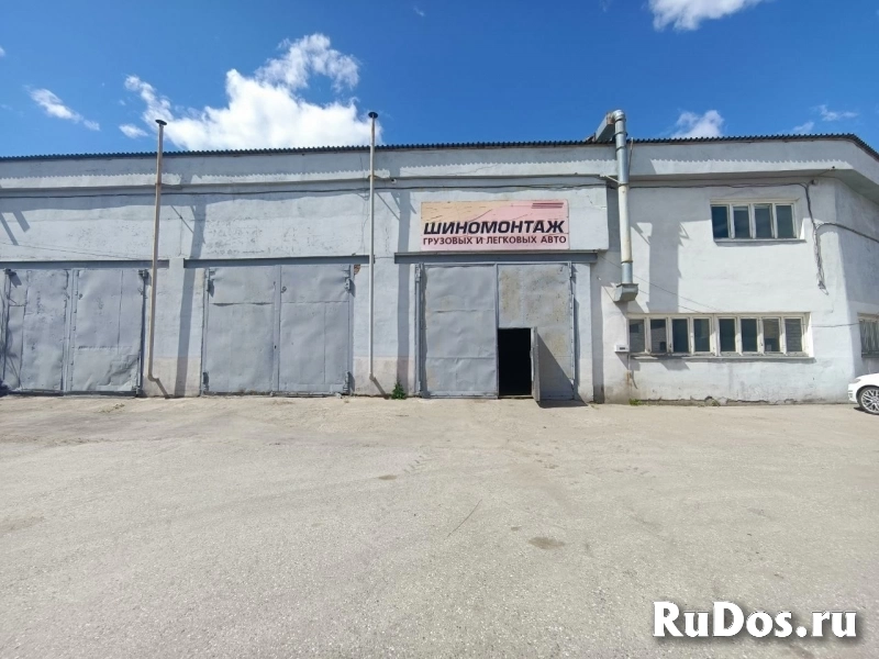 Сдам коммерческую недвижимость 559 м2 фотка