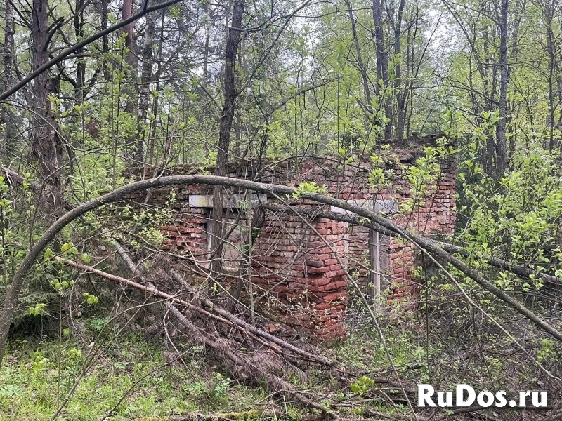 Продам коммерческую недвижимость 1050 м2 изображение 3