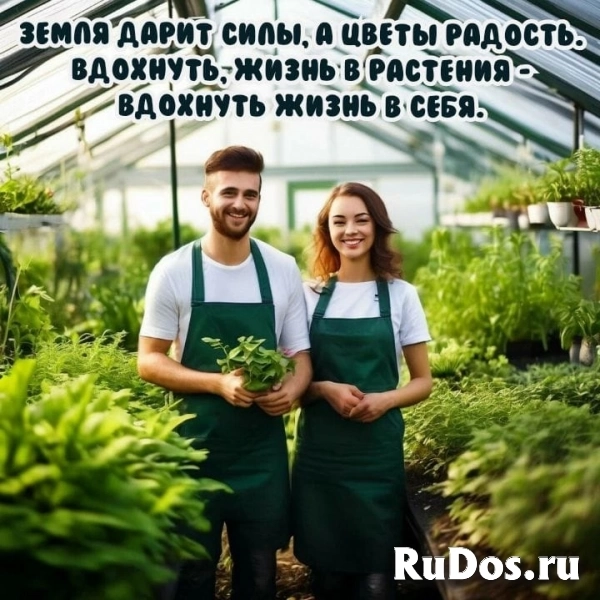 Рабочий в теплицу изображение 6