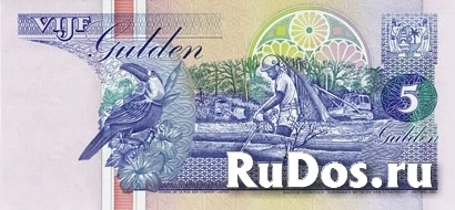 Банкнота 5 гульденов, Суринам фотка