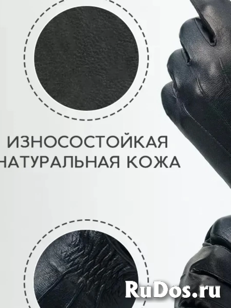 Перчатки LAUREATO фотка