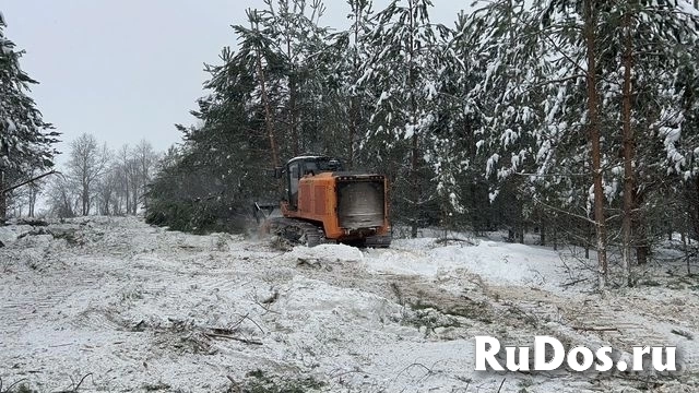 Расчистка 24/7, мульчирование от 1 Га, выкорчевка изображение 9