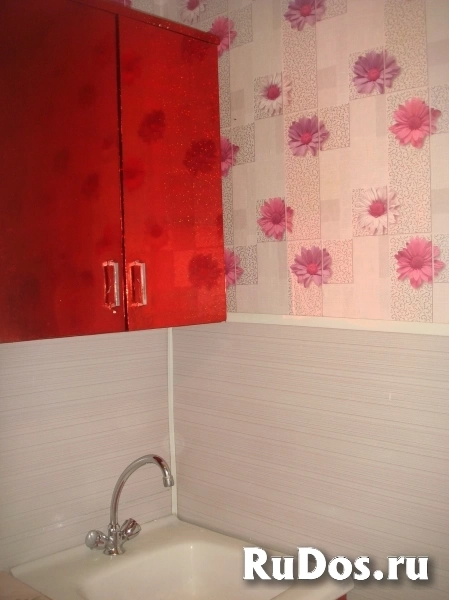 Сдам 1к.кв. 50мин. электричкой до м. Выхино изображение 4