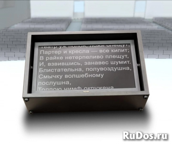 Телесуфлер Teleview TLW-STAGE24 Prompter фото