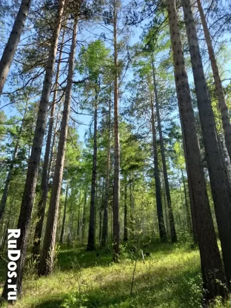 магия целительство магия целительство фото