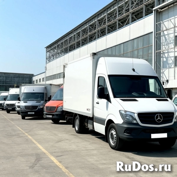 Аренда и лизинг грузовых транспортных средств и спецтехники изображение 4