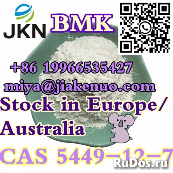 CAS 5449-12-7 Новая глицидовая кислота BMK (натриевая соль) фото