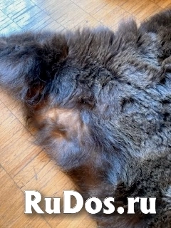 , частное объявление фотка