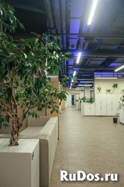 Продам коммерческую недвижимость 615 м2 фото