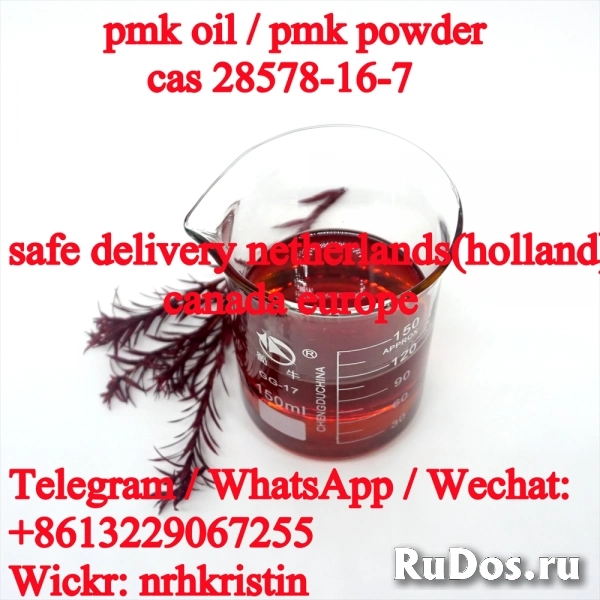 Supply pmk powder pmk oil cas 28578-16-7 with factory price фото