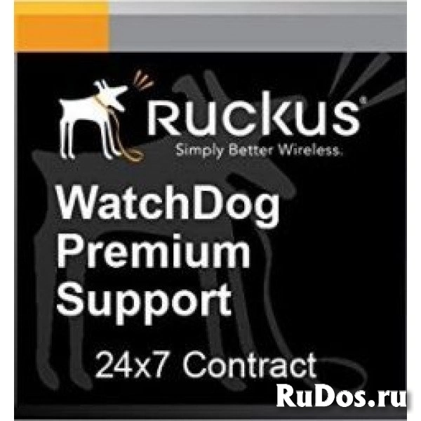 Программное обеспечение, лицензии, сервисные контракты Ruckus 801-1205-5000 фото