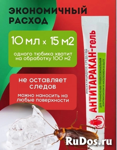 Средство от тараканов Антитаракан гель профессиональный 35 гр изображение 4