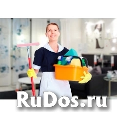Домработница в квартиру и частный дом на 3 дня в неделю фото