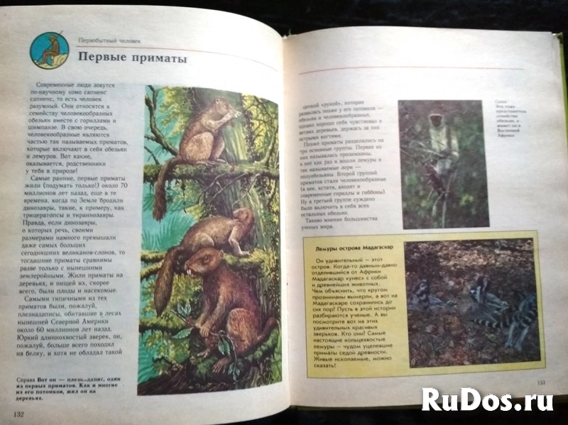 книга Мэтьюс Руперт. Что было до нашей эры изображение 7