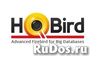 IBSurgeon HQbird Enterprise 1 сервер (2 узла репликации) Арт. фото