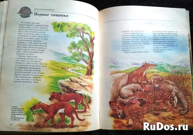 книга Мэтьюс Руперт. Что было до нашей эры изображение 5