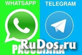 Рассылка WhatsApp,Telergram фото