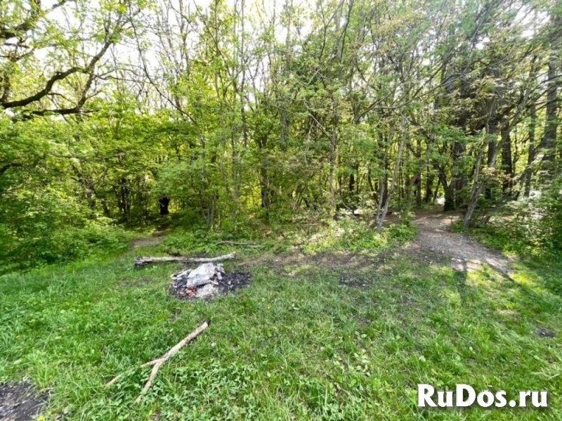 Продам участок 77.25 сот. изображение 4