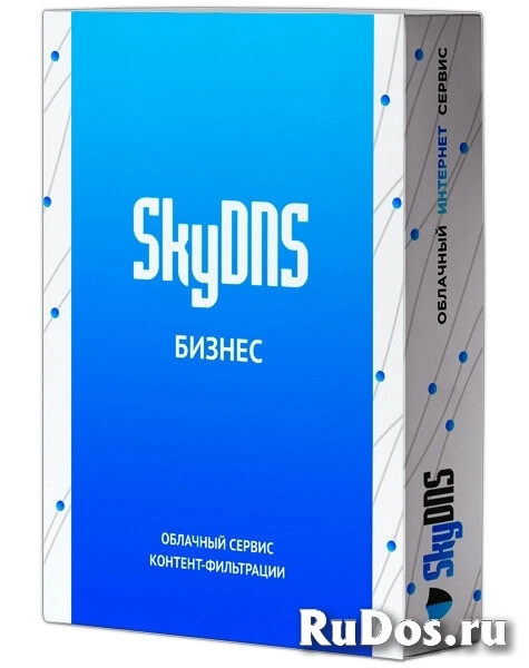 SkyDNS Бизнес. 200 лицензий на 1 год (SKY_Bsn_200) фото