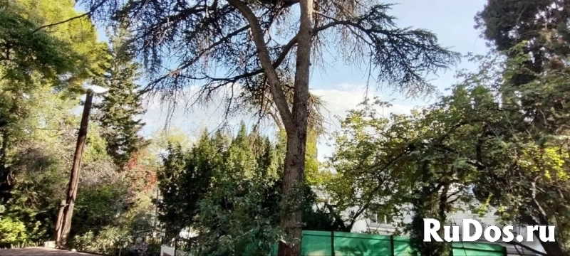 Сдам 2 комнатную квартиру 59 м2 фото