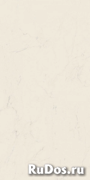 Керамогранит Grande Marble Look Altissimo Lux rett. 120х240 (M0G7) фото