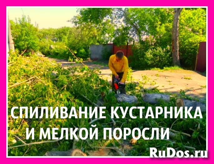 Спиливаем деревья в городе Масловка, мы спилим дерево в Масловке, фото