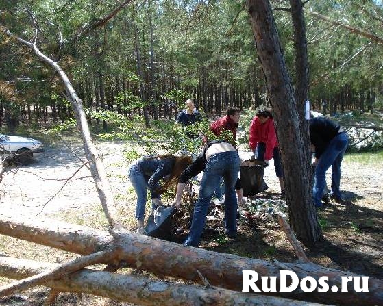 Уборка участков Обслуживание территорий изображение 4