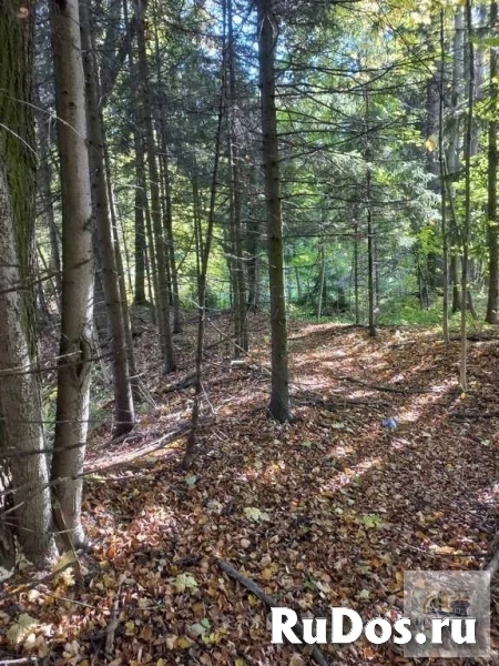 Продам коммерческую недвижимость 100 сот изображение 8