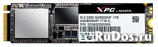 Твердотельный накопитель ADATA XPG SX8000 1TB фото