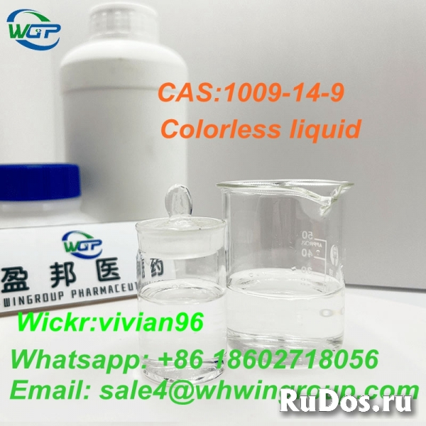 Factory Supply High Purity Valerophenone CAS:1009-14-9 Liquid изображение 4