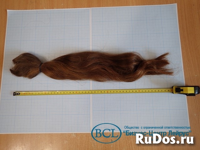 Волос натуральный женский русый неокрашенный срез длина 500мм фотка