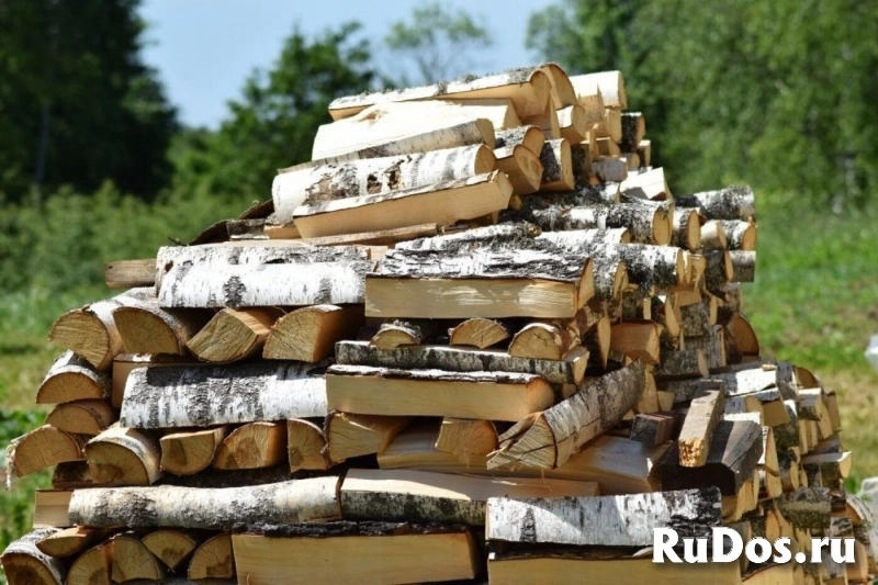 Берёзовые дрова в Домодедово Видное Барыбино фото