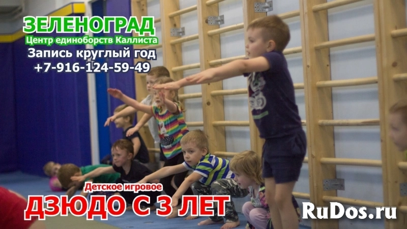 Зеленоград. Детское игровое дзюдо с 3 лет. изображение 3