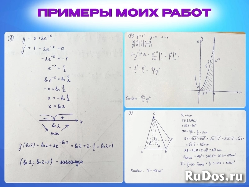 Решение задач по высшей математике изображение 5