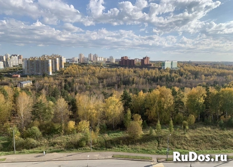 Сдам 1 комнатную квартиру 45 м2 фотка
