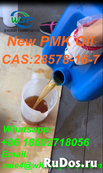 China Factory Direct Supply 99% Purity New PMK Oil CAS 28578-16-7 изображение 6