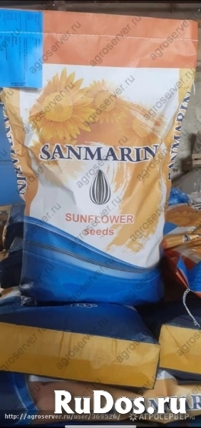 Семена гибрида подсолнечника Санмарин 410 под евролайтинг фото