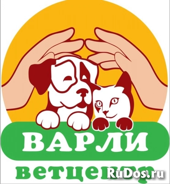 Ассистент-помощник ветеринарного врача фото