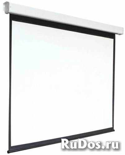 Экран Digis DSEF-4305 Electra-F, формат 4:3, 150quot;, 308x230, раб поверхность 300x220, MW фото