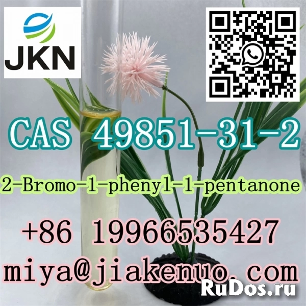 2-Бром-1-фенил-1-пентанон CAS 49851-31-2 изображение 6