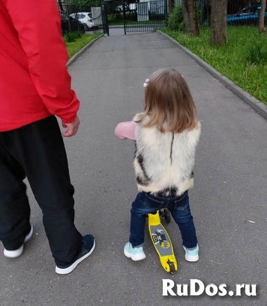 Самокат детский 3-х колесный Batman Scooter HF-TK002A-BM Возраст детский Вес 2.2 кг фото